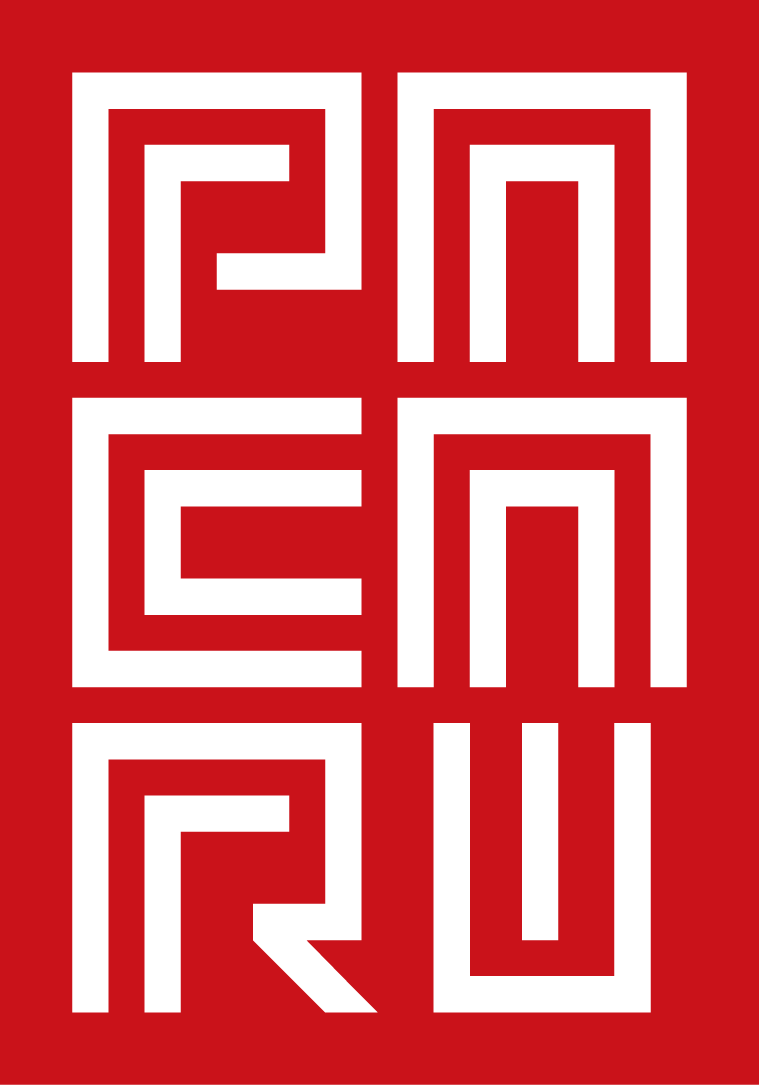 Réalisation du Logo de mon site web Pacari